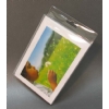 Clear Hanging Display Box (small)
