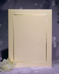 A-7 Optic Borders Gold